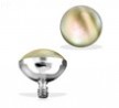 Surgical Steel Internally Threaded Shell Inlayed Dome Dermal Top